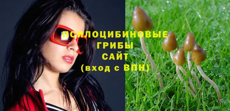 даркнет сайт  Ковров  МЕГА   Псилоцибиновые грибы MAGIC MUSHROOMS 